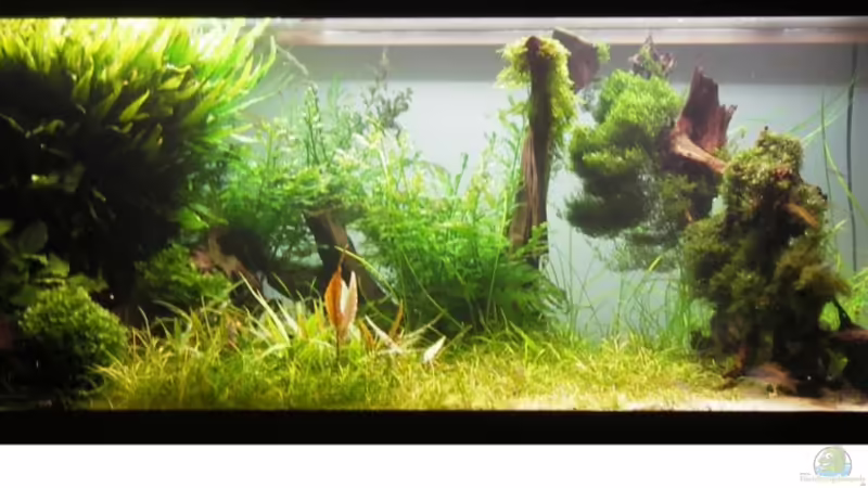 4 Monate vorher von JMB (2)