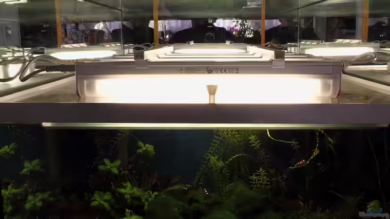 4* T5 8 Watt Mini-Lichtleisten - Beleuchtung im Betrieb von Micha (22)