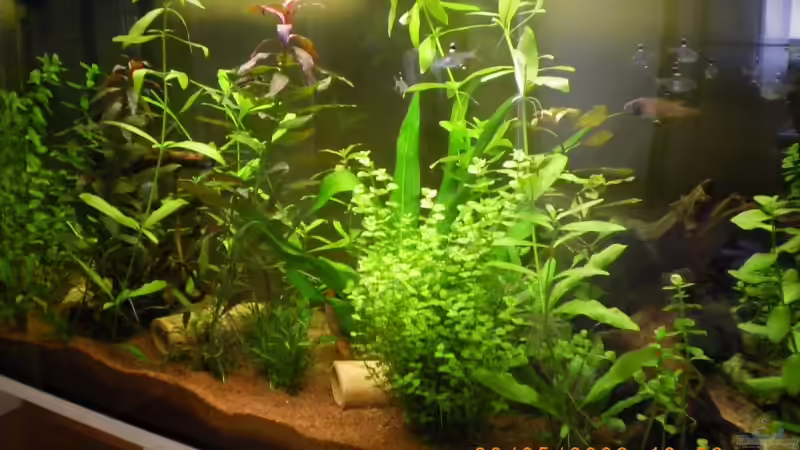 4 Wochen in Betrieb von Manuel Well (6)