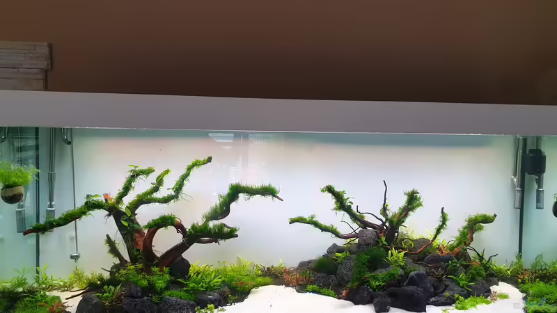 4 Wochen Laufzeit  von Tobi2013 (37)