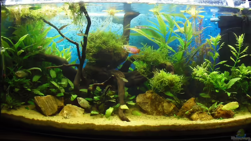 4 Wochen nach der Einrichtung von MiCa (5)