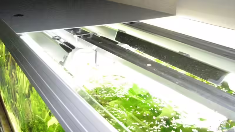 4 x 54 Watt T5-Lampen von Sado-Uwe (16)