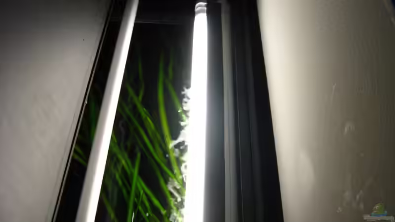 40 cm lange ´Küchenleuchte´ zur Simulation der Dämmerung (12.1.2013) von NicoleZH (22)