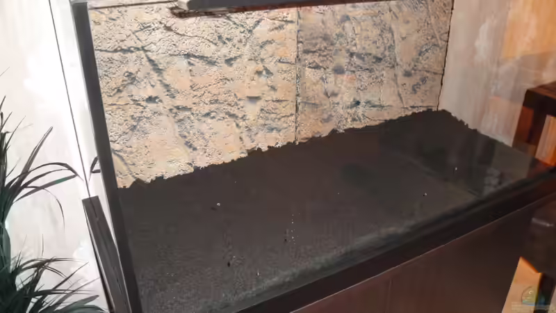 40 kg JBL Sansibar black von Fischkopp83 (6)