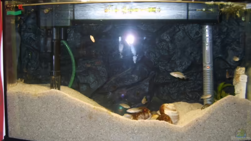 40 liter Panoramabecken