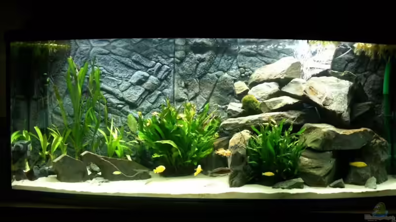 405 Liter Malawi 405 Liter Malawi