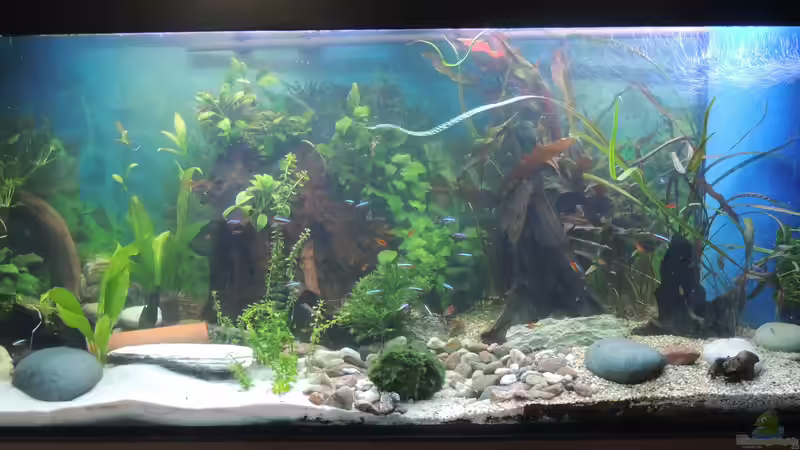 450 L Südamerika von Norbert Diessl (2)