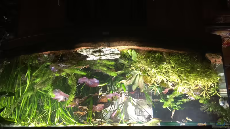 450 Liter Gesellschaftsbecken