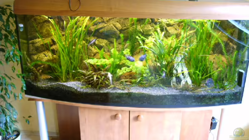 450 Liter Geselschaftsbecken