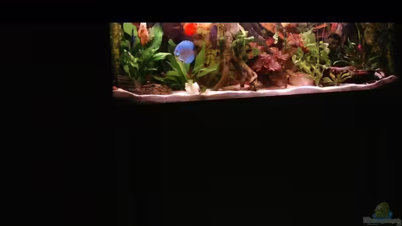 450 Liter Südamerika von Uwe Hein (1)