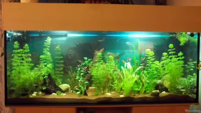 450 ltr becken von Benjamin23 (1)