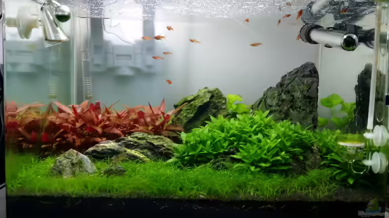 47ter Tag von Kai-Uwe M (8)