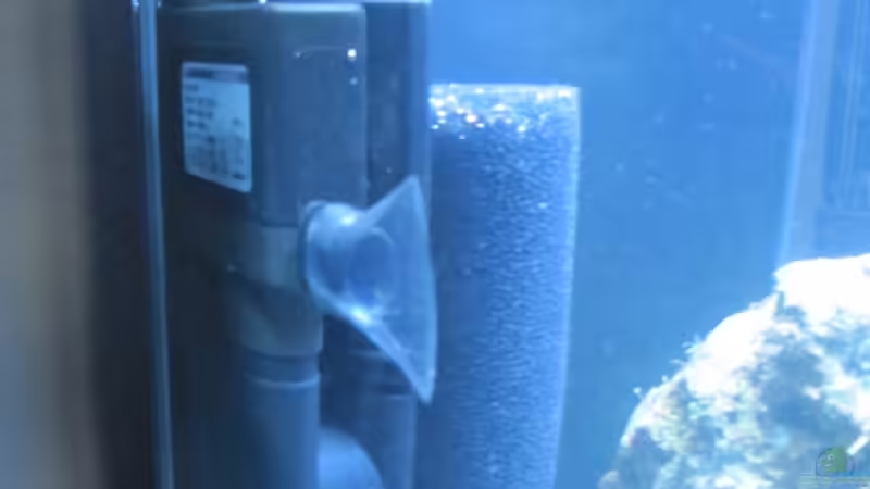 4in1 Bio Circulator von Haens84 (21)