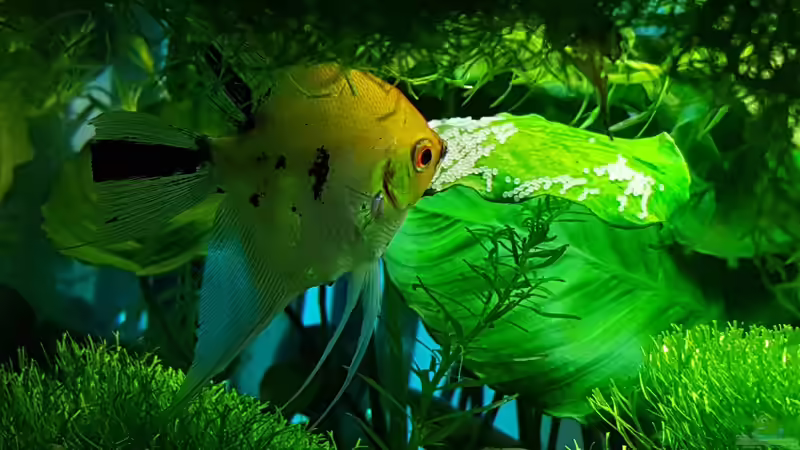 4te Gelege 05.03.2016 von Sebastian Hartmann (126)