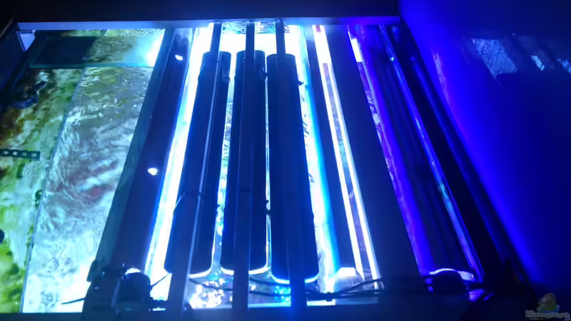 4x54 Watt T5 + 6x12 Watt sunaEco 500 von Bluewater (11)