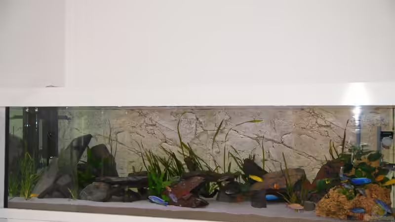 5. von Wolfgang Ihlo (15)