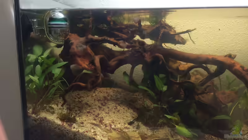 5.08.2015 Hauptansicht 