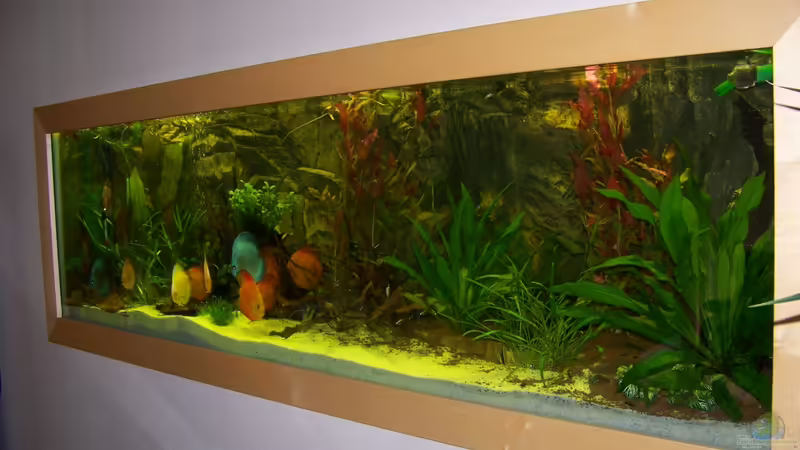 5/2012 von Silke (2)