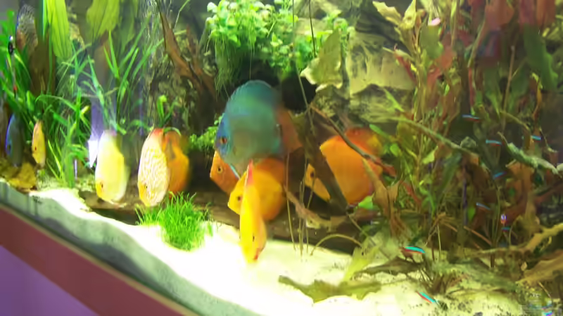 5/2012 von Silke (9)