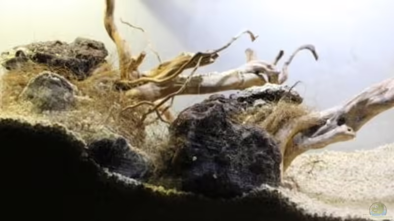 5/4/2014 Detall Muntatge von lomarraco (7)