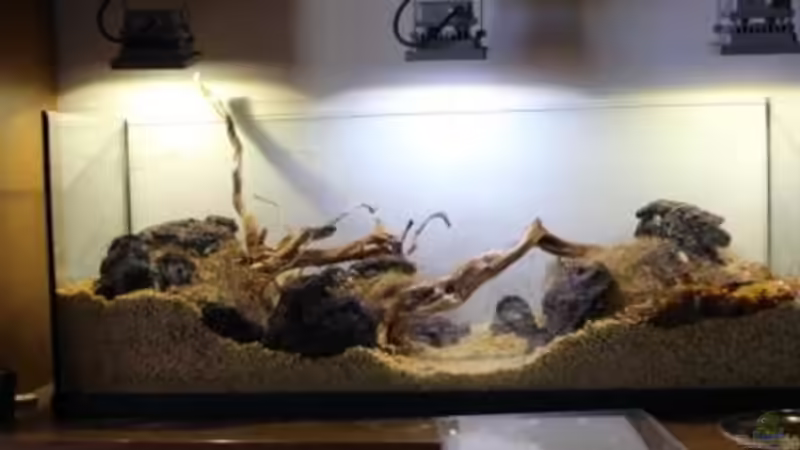 5/4/2014 Humectacio de la kanuma von lomarraco (9)