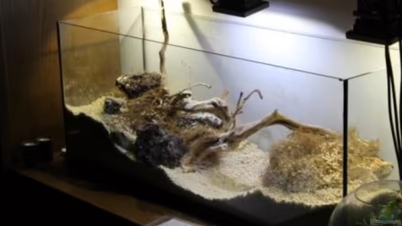 5/4/2014 Muntatge von lomarraco (4)