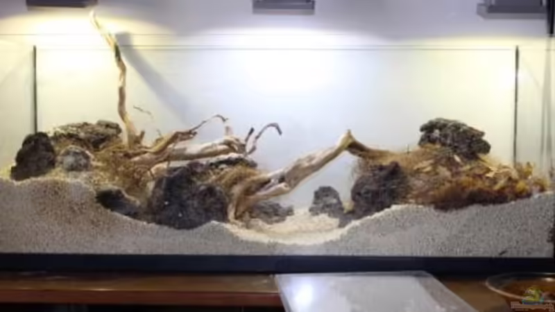 5/4/2014 Muntatge von lomarraco (6)