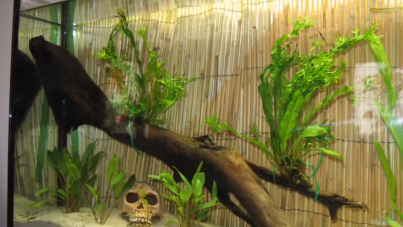 5.7.2008 von Andrea (17)