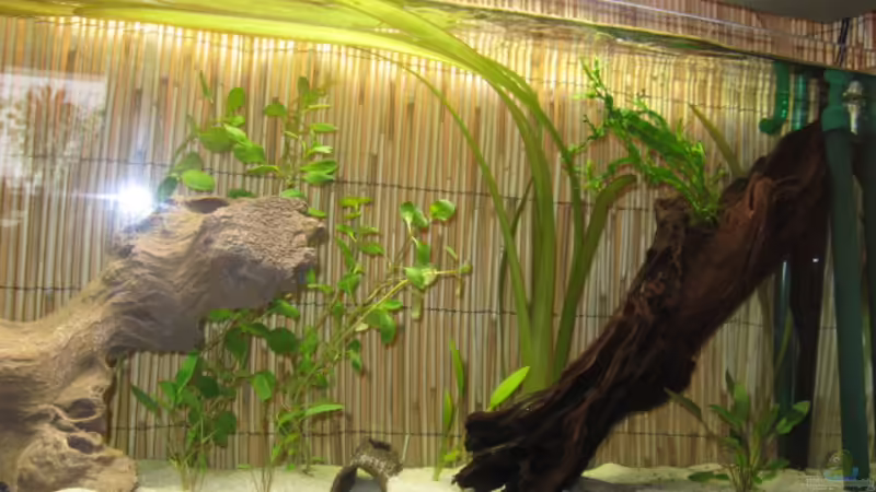 5.7.2008 von Andrea (18)