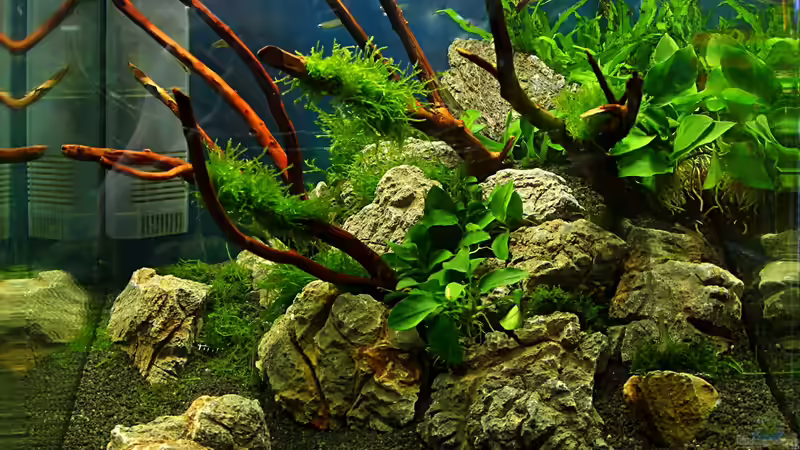 5.8.13 Front von Bjarke (2)