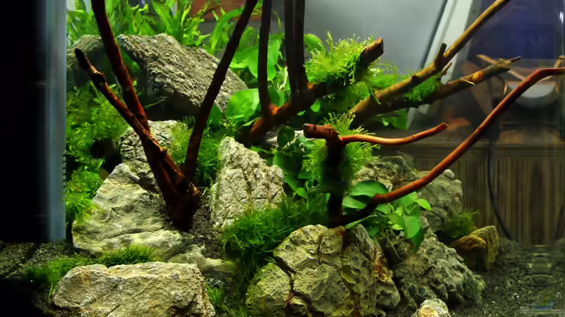 5.8.13 Seite von Bjarke (3)