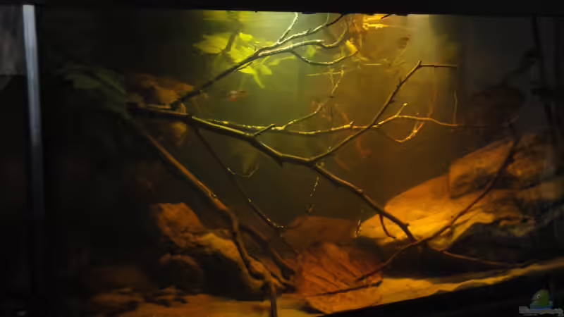 5.9.2015 von Laura (2)