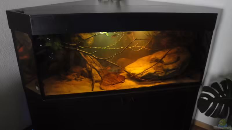 5.9.2015 von Laura (3)