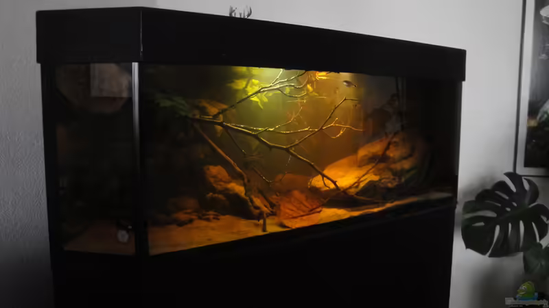 5.9.2015 von Laura (4)