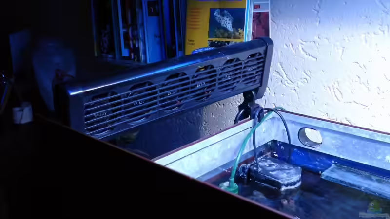 5-fach Lüfter von enemey (18)