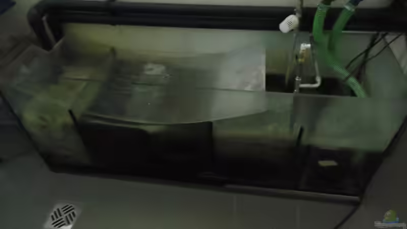 5 Kammer Filterbecken / 600 liter von Mbuna Mick (47)