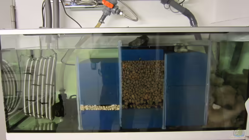 5 Kammer Filterbecken von Raid_0 (14)