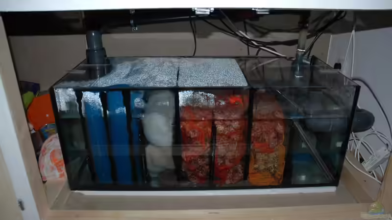 5 Kammer Filterbecken von Wimmer Jürgen (13)