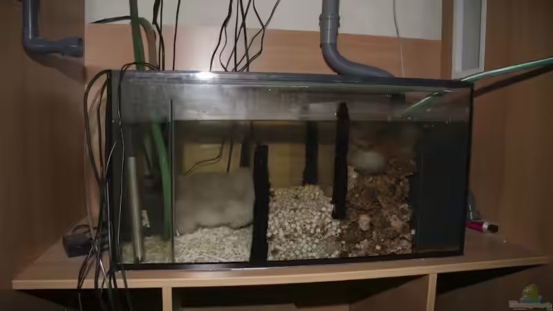 5 Kammerfilterbecken  von Applehorsti (35)