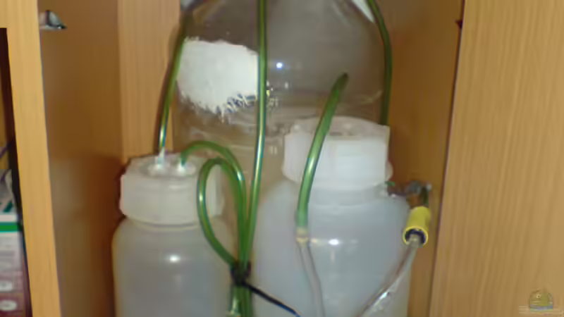 5 l Hefe-Fermenter, Zuckerkonzentrat über Schlauchpumpe, Waschflasche von Christoph Bader (5)