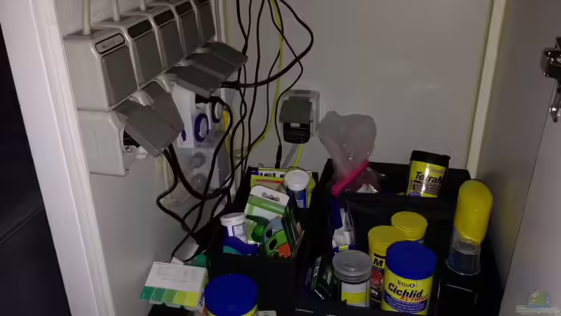 5 Steckdosen auf der rechten Seite von Lynex (9)