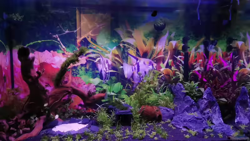 5.Tag von Borisson (2)