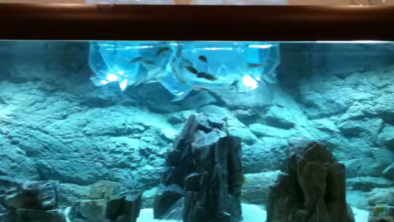 5 Uhr Morgens ich holl sie jetzt langsam raus .... von Manuel Jettki (10)