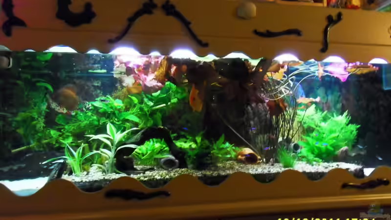 500er von Ulrich Sauerhering (96)