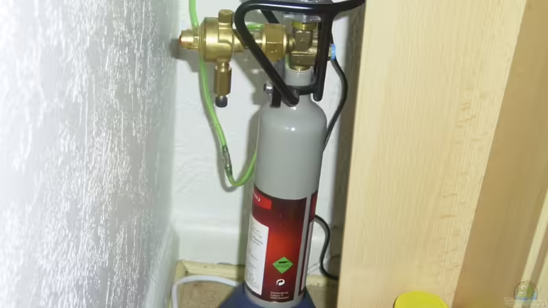 500g CO2-Mehrweg-Flasche von Bernd Milbrandt (14)