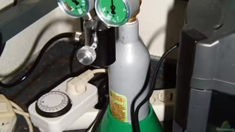 500g CO2 von Robert Kolovrat (15)