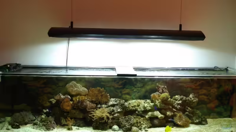 500l  2000x500x500 von Mario Dorner (2)