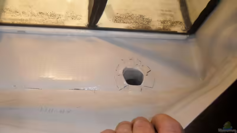 50mm ablauf geklebt von kleines becken (14)