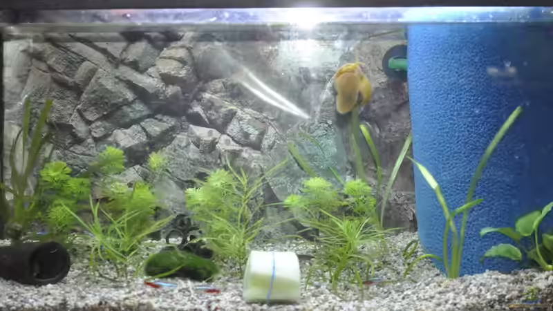 54- Oase im Grünen von SteB-Studio (1)