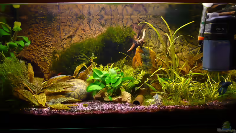 54 Liter Gesamtansicht von Aqualady (1)